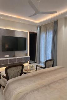 Golden dune near Chandigarh airport - 9