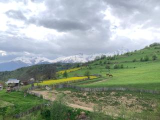 Rita Gujejiani Guest House - 8