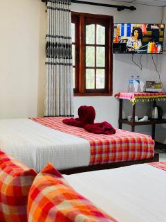 Shine Haven Ella - 2