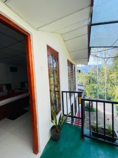 Shine Haven Ella - 1