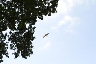 Luxe, rust en ruimte bij de Veluwse Vogels in Epe - Epe - 5