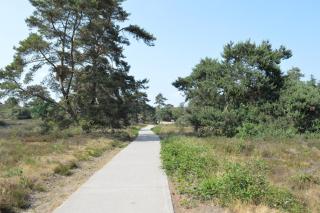 Luxe, rust en ruimte bij de Veluwse Vogels in Epe - Epe - 4