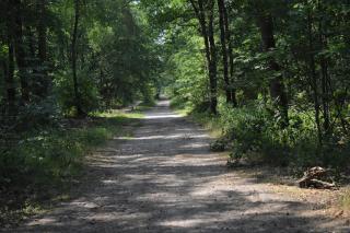 Luxe, rust en ruimte bij de Veluwse Vogels in Epe - Epe - 3