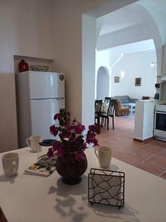 Aperanto House in Arnados, Tinos - 4