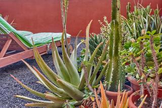 Ferienwohnung Paraiso 2 Costa Calma Meerblick - 7