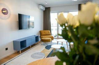 Blueberry apartment and SPA - 9