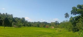 Calmira Boutique Stay - 7