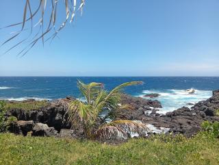 Villa dans l'Ocean - 5