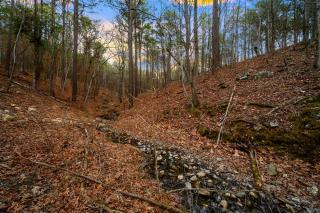 Creek • Art Terrace • Espresso Bar • Treetop Views - 3