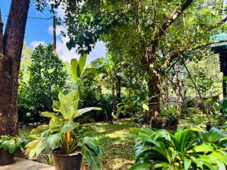 Shena resort - 3