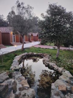 As Cabanas DO RÍO PEGO - 7