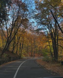 Cozy apartment Kosmaj Residence - 9