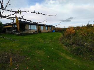 3 min to forest with private kitchen, toilet and living room - 3