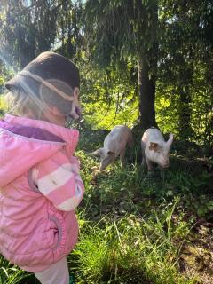 Ferienwohnung Schönenbühl - 8