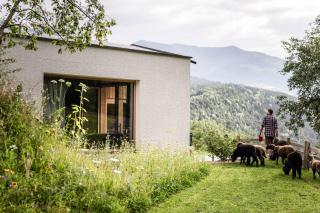 Oberplunerhof - Fewo Gitschberg - 4