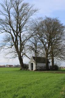 Ons Heerens Boompje - 7