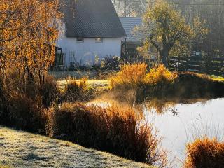 Gołąbek Stronie Śląskie - 3