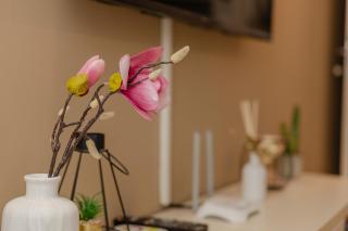 Ralux apartman Tivat - Tivat - 2