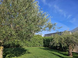 Villa Alloro Muntrilj with pool - 7