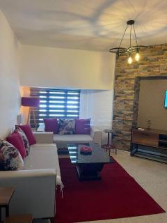 Downtown apartment noisy location - 0