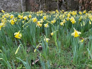 La Maison d'Elise - Gîte 4 épis - 4