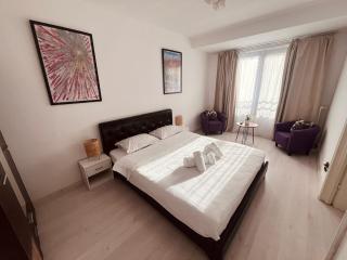 Calea Victoriei Chic Stay - Bucareste - 6