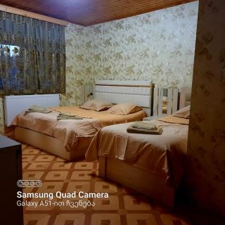 Guest-house Velistsikhe - 2