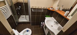 Vila Alexandra - Prime accomodation - Pumo Properties - 9