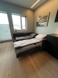 Pristine apt with private sauna and balcony - 4
