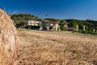 Villa Santa Caterina - Montalto Uffugo - 5