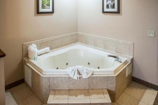 Comfort Inn & Suites - Lawrenceburg - 4