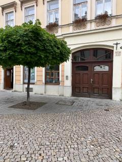 Tamás Apartman - Panorámás, tágas lakás a történelmi belvárosban kilátással a Virágórára - 3