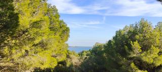 Mas de Caussagues, la Presqu'ile - 2