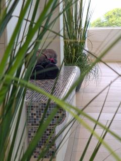 Terrassenhaus, FeWo 83 - 6