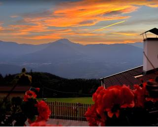 Eichernhof Apartment Apfelblüte - 9