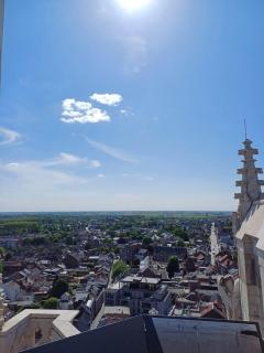 Gastenverblijf Onder een Oude Eik - 8