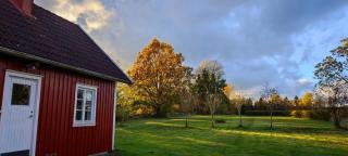 The red Butterfly 2 cottage - 7