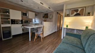 studio Quai 84, bord du Rhône via Rhôna - 5
