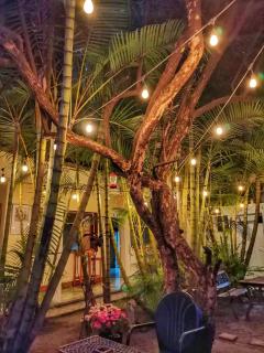 Hostal Centro Cultural el Talpetate - 7