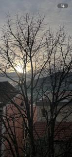 Apartments Revea - Budva - 9