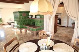 Zurück zur Wurzel - 8