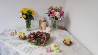 Modrá růže Třeboň - 6