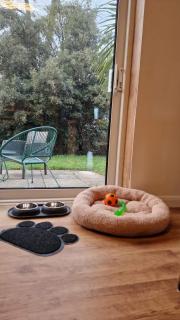 2BR Garden Flat Private Parking Self Check In - 4