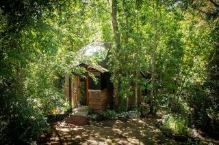 Domo en Villarrica - Refugio Sureño - 9