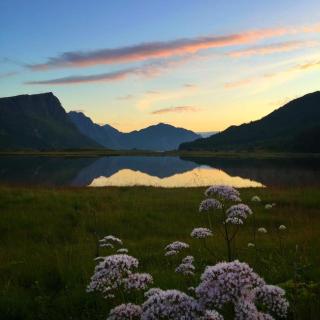 Cozy older house in the middle of Lofoten - 7