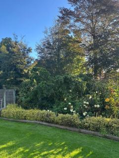 Rakanui Hidden Retreat - 2