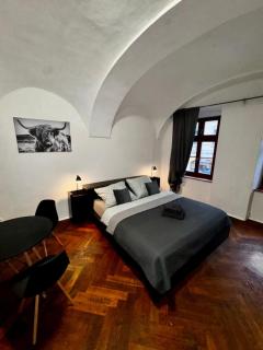 Lacná izba v centre - 4