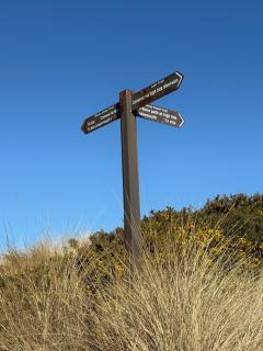 B17 SilverSands Escape - 8