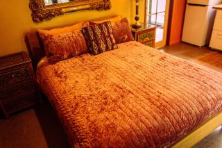 Tranquil Rainforest Studio Kuranda - 7