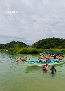 Caribean Crown MY1121 - 5